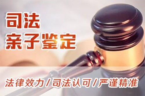 太原司法DNA鉴定如何做,太原司法亲子鉴定收费需要多少钱